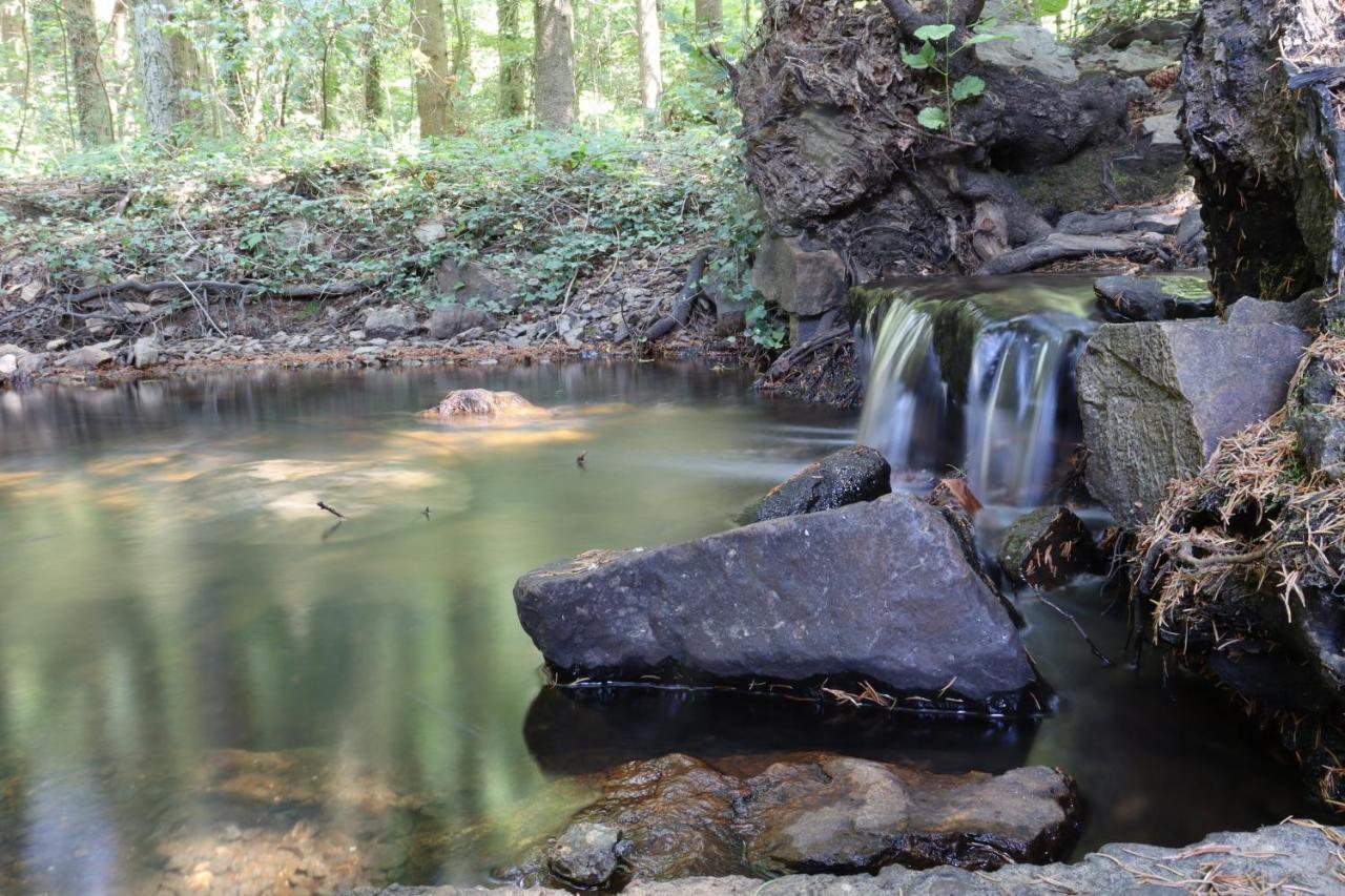 Bio-Ferienhaus-Eifel Rott  Dış mekan fotoğraf