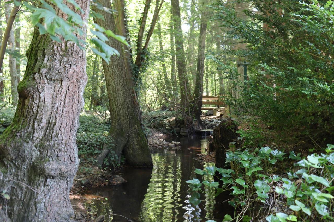 Bio-Ferienhaus-Eifel Rott  Dış mekan fotoğraf